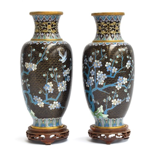 147 - A pair of late 19th century Chinese cloisonné enamel vases on hardwood stands, depicting cherry blos... 