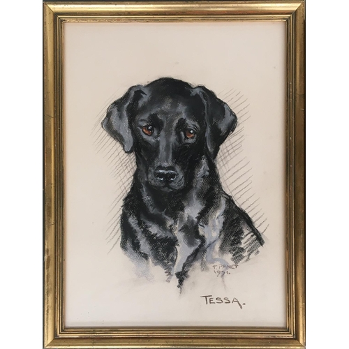 80 - T. Panet, 'Tessa', study of a black labrador, signed and dated 1971, 50x37cm; together with another ... 