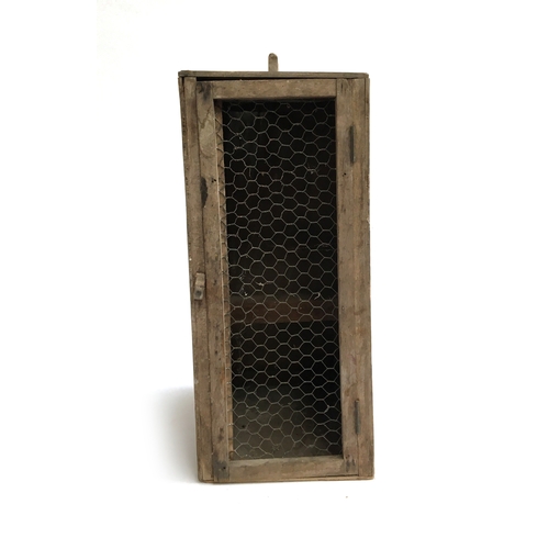 33 - An early 20th century parrot box with internal perch for the transport of birds, 46x20x30cm