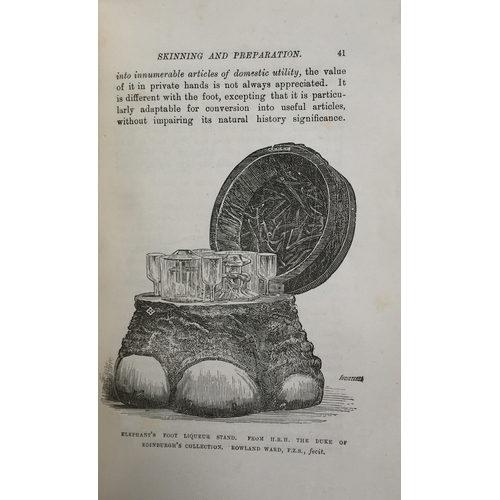 63 - Taxidermy interest: Ward, Roland. The Sportsman's Handbook to Practical Collecting and Preserving, a... 