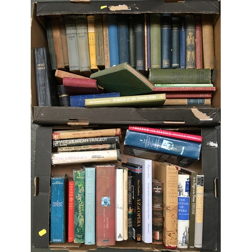 Lot 196       