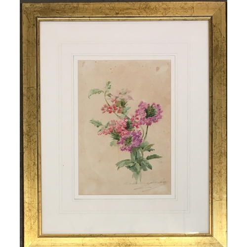 274 - Madeleine Lemaire (French 1845 - 1928), 19th century study of flowers, watercolour, signed indistinc... 