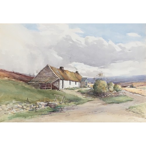 Lot 346       