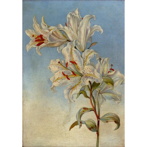 Lot 358       