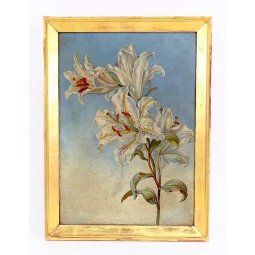358 - Alice Mary Mansford (British, 19th Century), Still life of lilies, inscribed 'Alice Mary Mansford pi... 