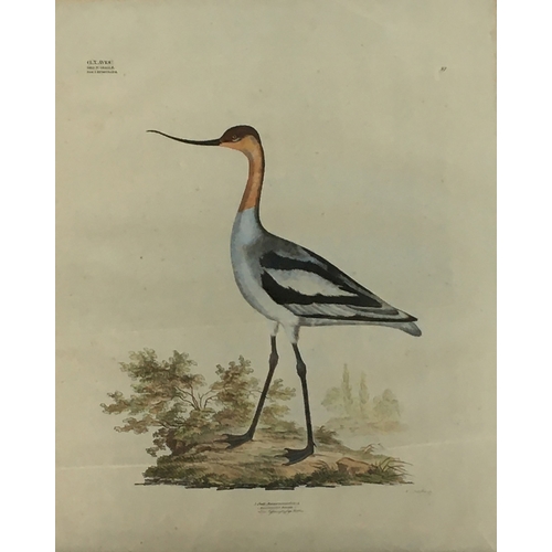 Lot 309       