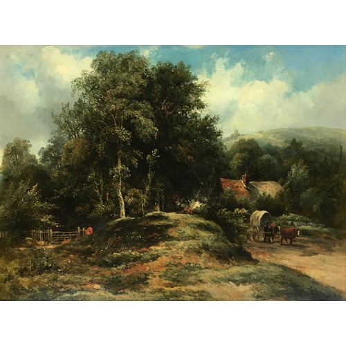 Lot 333       