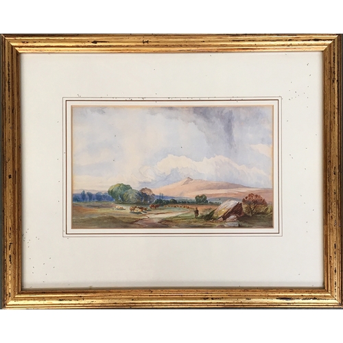 277 - 19th century English school, cattle in a landscape, watercolour on paper, 14 x 23.5cm