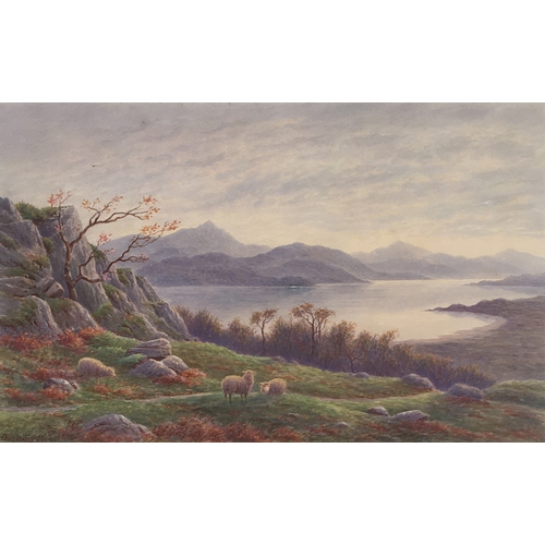 285 - Charles H. Branscombe (British, 1891-1922)
Sheep within highland landcsape, signed and dated 'Chas H... 