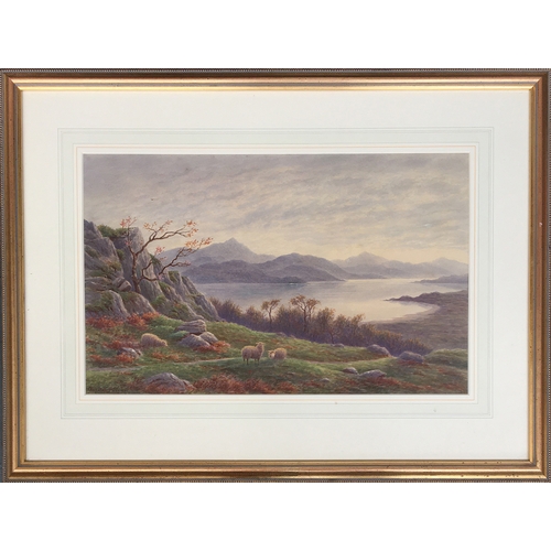 285 - Charles H. Branscombe (British, 1891-1922)
Sheep within highland landcsape, signed and dated 'Chas H... 