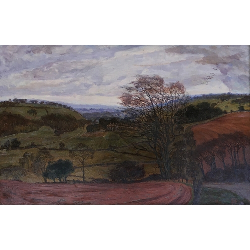 Lot 350       