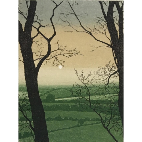 Lot 381       