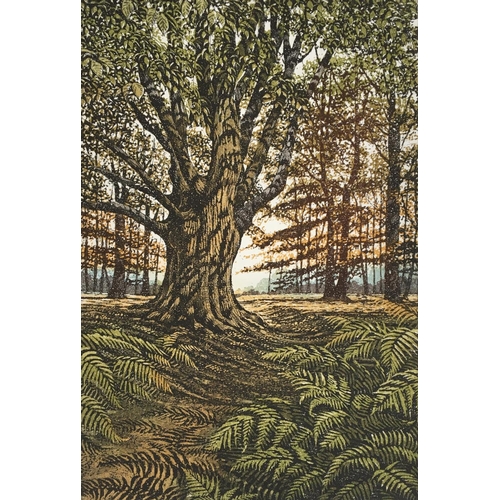 Lot 382       
