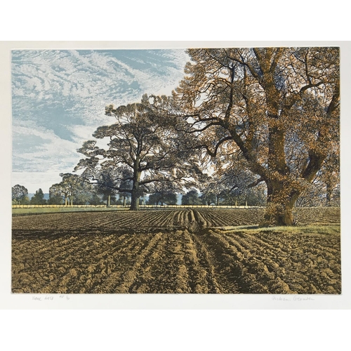 Lot 385       