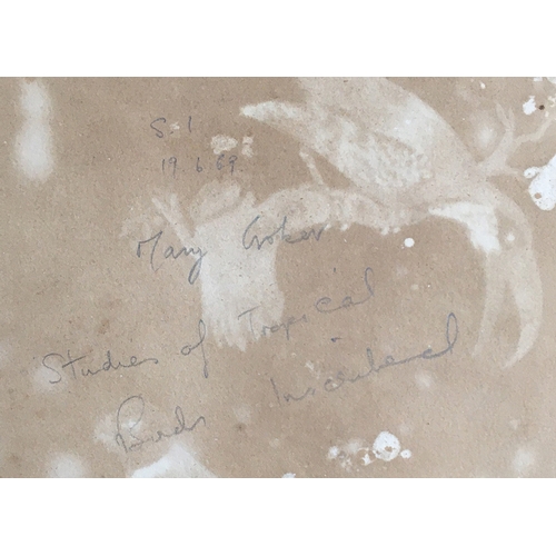273 - 19th century watercolour study of tropical birds, inscribed to the reverse Mary Croker (?) 1869, 32 ... 