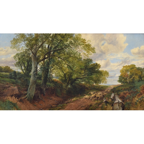 Lot 335       