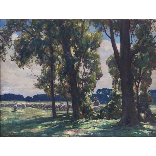 Lot 336       