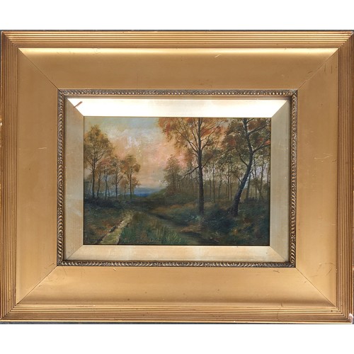 352 - 19th Century English School, woodland glade, oil on canvas, 16.5 x 24cm