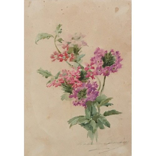 274 - Madeleine Lemaire (French 1845 - 1928), 19th century study of flowers, watercolour, signed indistinc... 