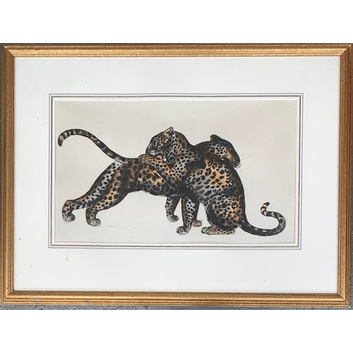 261 - 20th century watercolour, leopards at play, 35x59cm