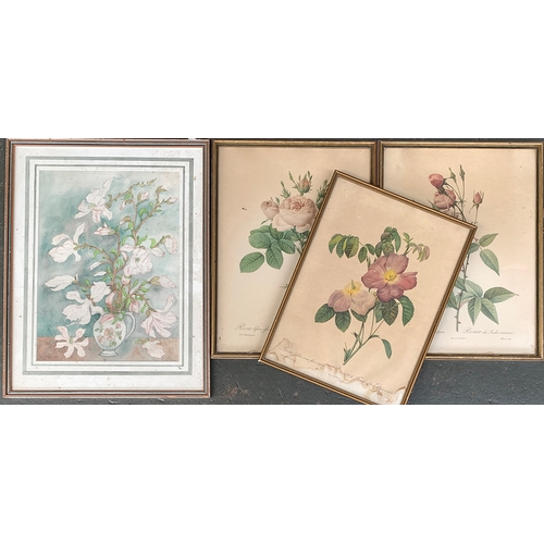 265 - A watercolour study of magnolia, 37x27cm; together with three botanical prints of roses (4)