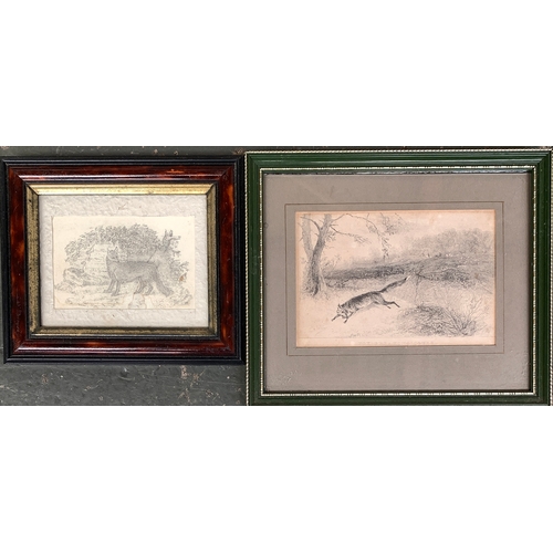 Lot 263       