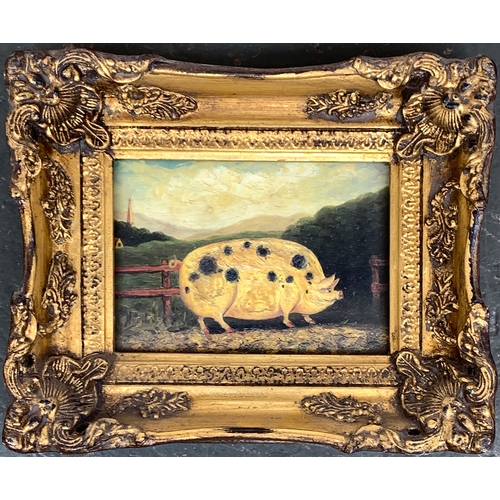 Lot 256       