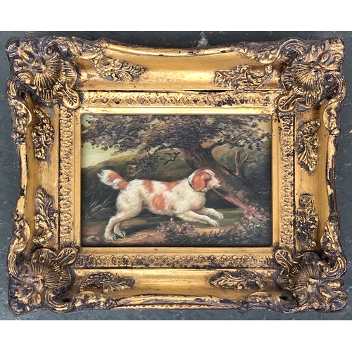 Lot 257       