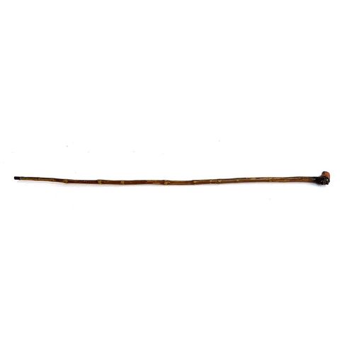195 - A walking cane with carved handle in the form of a blackamoor wearing a red hat, glass eye detail, 7... 