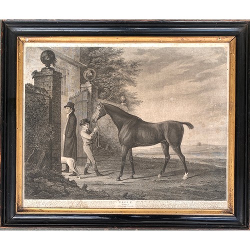 57 - Racing interest: an early 19th century engraving of a racehorse by and after John Wessell, 'Eagle, B... 