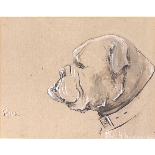 Lot 254       