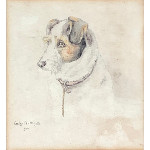 Lot 255       