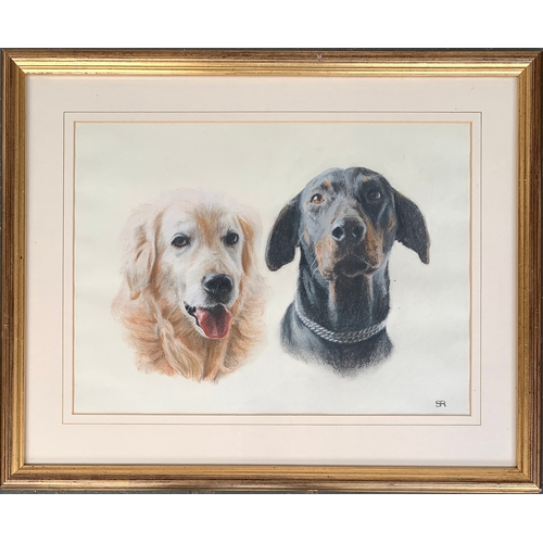 Lot 289       
