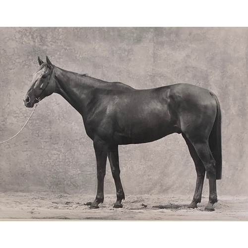 Lot 291       