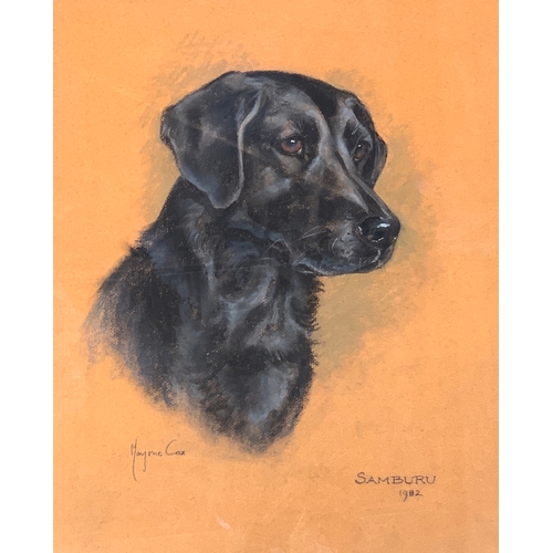 Lot 294       