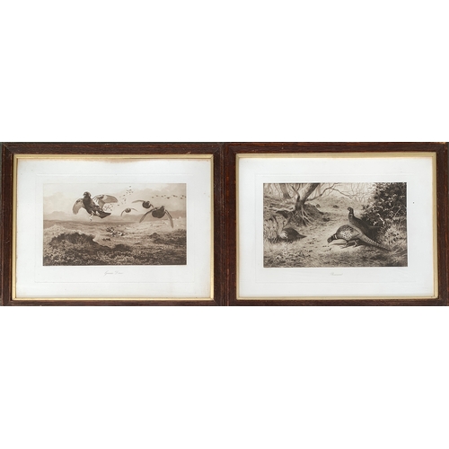 Lot 295       