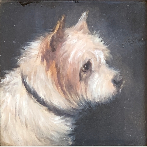 62 - Edward Aistrop (British, fl.1880-1920) The Rough Coated Terrier (after Geo. Armfield) monogrammed 'A... 