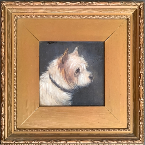 62 - Edward Aistrop (British, fl.1880-1920) The Rough Coated Terrier (after Geo. Armfield) monogrammed 'A... 