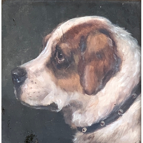 63 - Edward Aistrop (British, fl.1880-1920) St Bernard monogrammed 'AE', oil on board, 13.5 x 13.5 cm