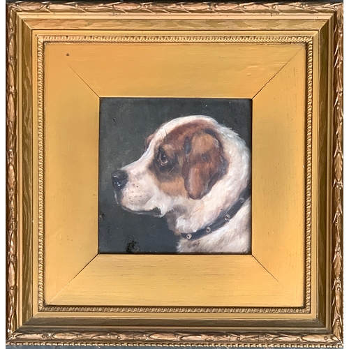 63 - Edward Aistrop (British, fl.1880-1920) St Bernard monogrammed 'AE', oil on board, 13.5 x 13.5 cm