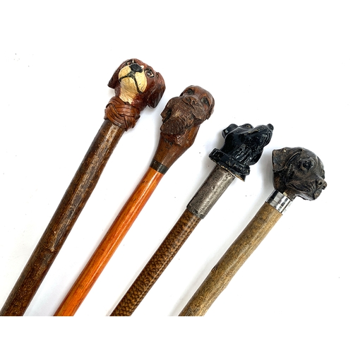 198 - Four novelty walking sticks, each with carved dog head terminal, one with a silver engraved collar (... 