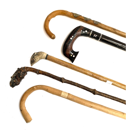 203 - Five various walking sticks, one with pheasant head terminal (5)