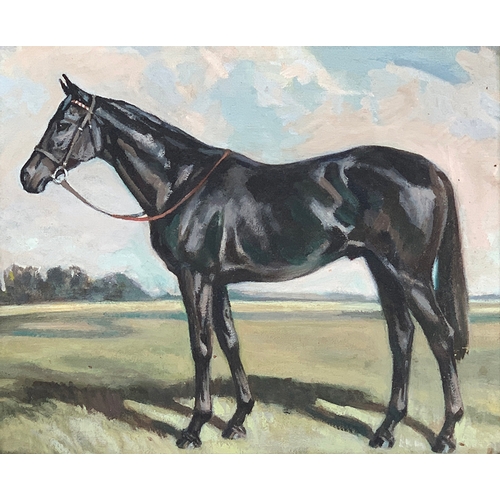 65 - Study of a thoroughbred racehorse, oil on board, 36x43cm, in a gilt gesso frame