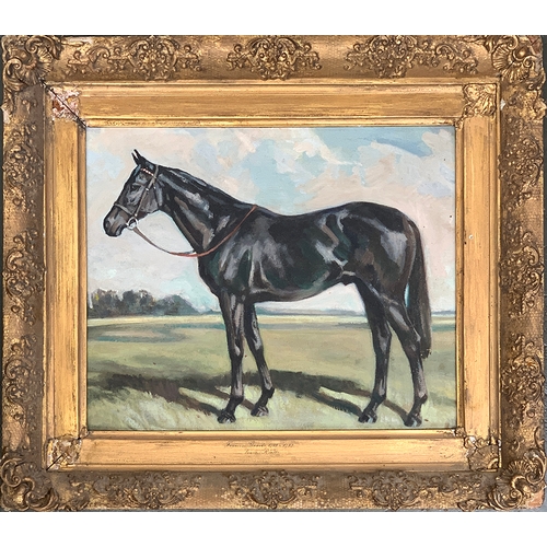 65 - Study of a thoroughbred racehorse, oil on board, 36x43cm, in a gilt gesso frame