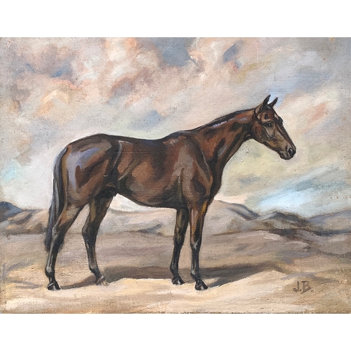 67 - Joan Barrington (20th century British), 'Pauper', Quetta 1938, study of a racehorse, oil on canvas, ... 