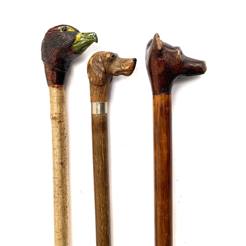 204 - Three walking sticks, with carved knops depicting pheasant, dog, and fox, each with glass eyes (3)