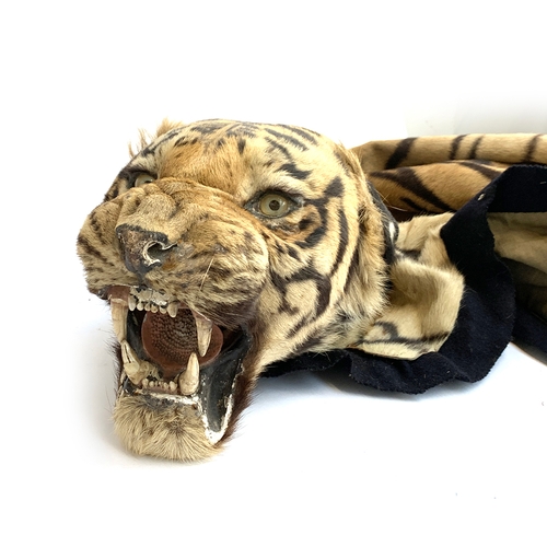 235 - Taxidermy interest, an entire Indian tiger skin rug by Van Ingen & Van Ingen Mysore,  (Panthera tigr... 