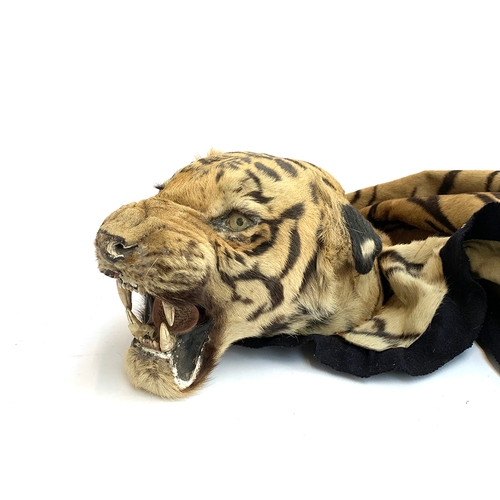 235 - Taxidermy interest, an entire Indian tiger skin rug by Van Ingen & Van Ingen Mysore,  (Panthera tigr... 