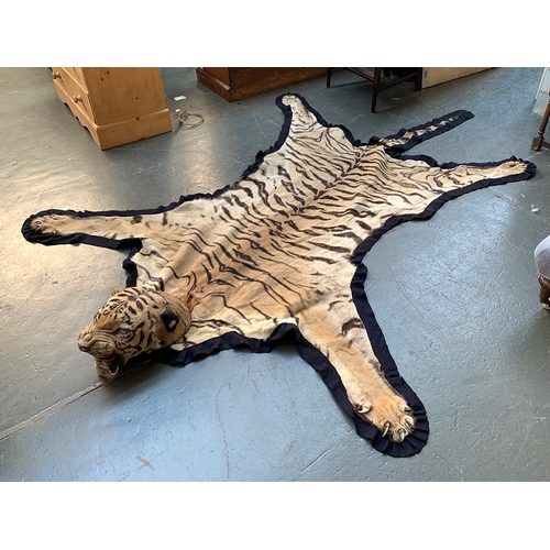235 - Taxidermy interest, an entire Indian tiger skin rug by Van Ingen & Van Ingen Mysore,  (Panthera tigr... 