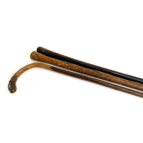 193 - Three gent's walking sticks